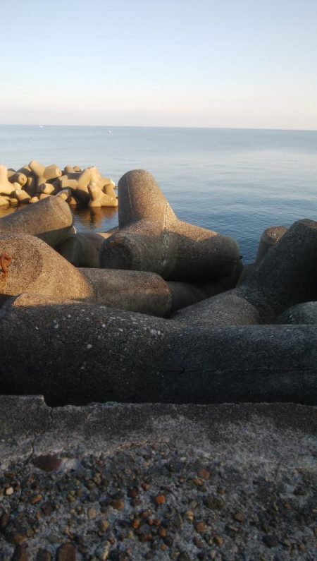 アオリイカ1杯!カマス11匹!小アジ1匹!