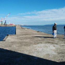 やっと時合を捉えました