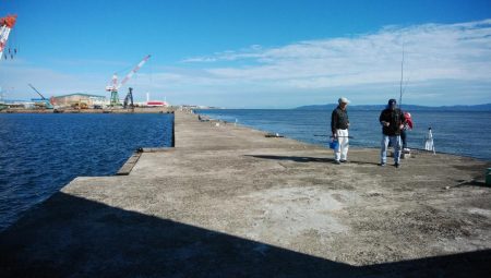 やっと時合を捉えました