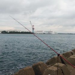 東二見西水路のキス釣査