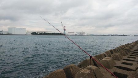 東二見西水路のキス釣査