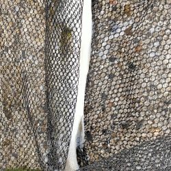 シーバスとアジとセイゴ