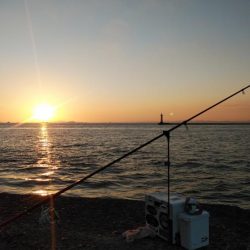 久しぶりの買い物待ち釣行