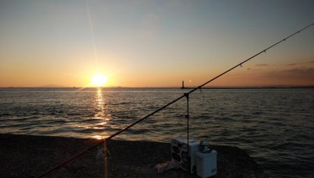 久しぶりの買い物待ち釣行