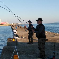 僅かな時合いを捉える事が出来ました