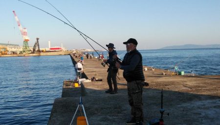 僅かな時合いを捉える事が出来ました