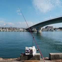 シーズン最大のキスが釣れました