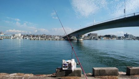 シーズン最大のキスが釣れました