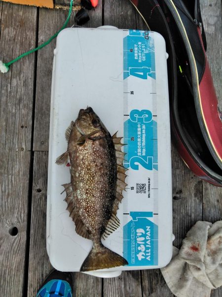 フカセ‥最高ですネ・・