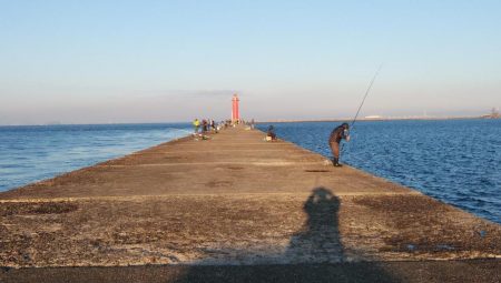 播磨新島のキス連日調査