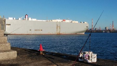 播磨新島のキス情報