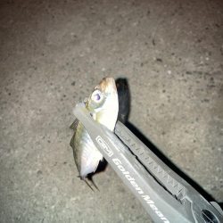 ギョーザとビールは合う