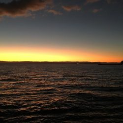 水曜日の小潮釣果