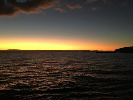 水曜日の小潮釣果