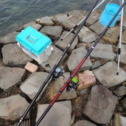 落ちギスは何処に？