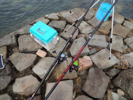 落ちギスは何処に？