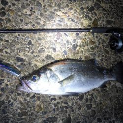 荒れ気味のコンディションにて