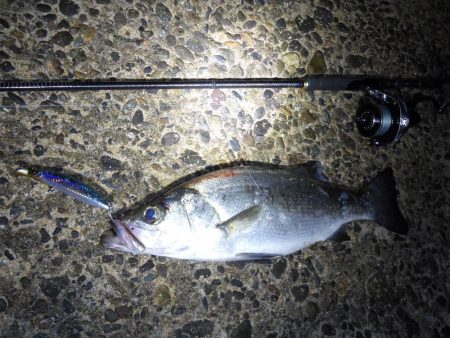 荒れ気味のコンディションにて