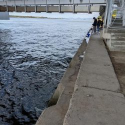 カワハギに夢中