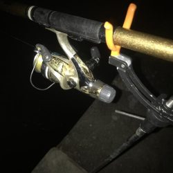 ヤエンでアオリイカGET