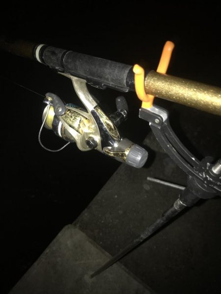 ヤエンでアオリイカGET