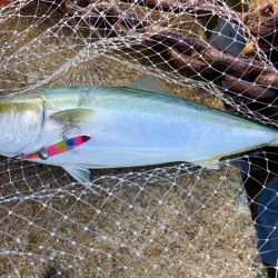 釣れない時間帯のマキマキバイブ最高！