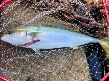 釣れない時間帯のマキマキバイブ最高！