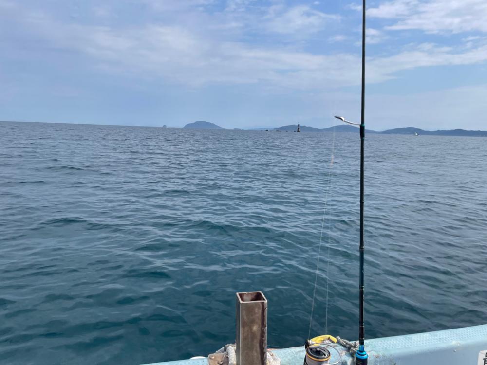 ナイスなイサキ