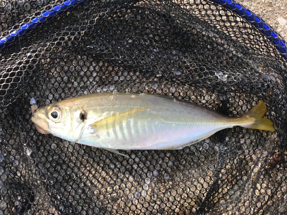 週末ルーティン