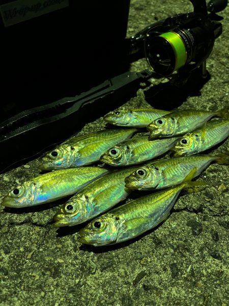 明るい時間から