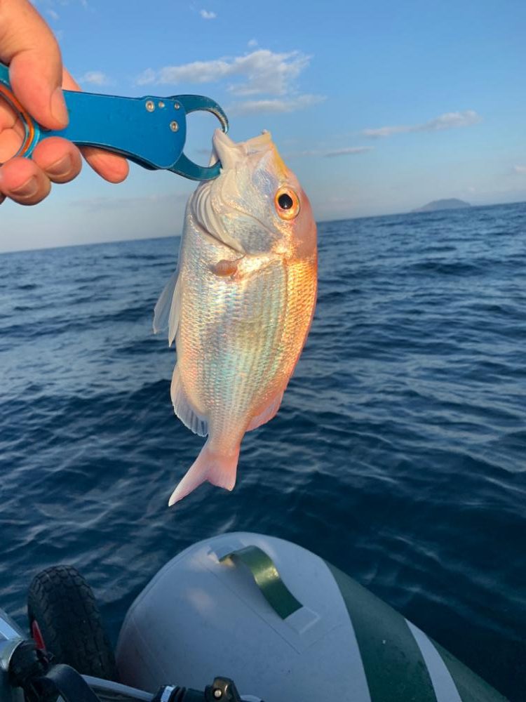 久しぶりのボート釣行!