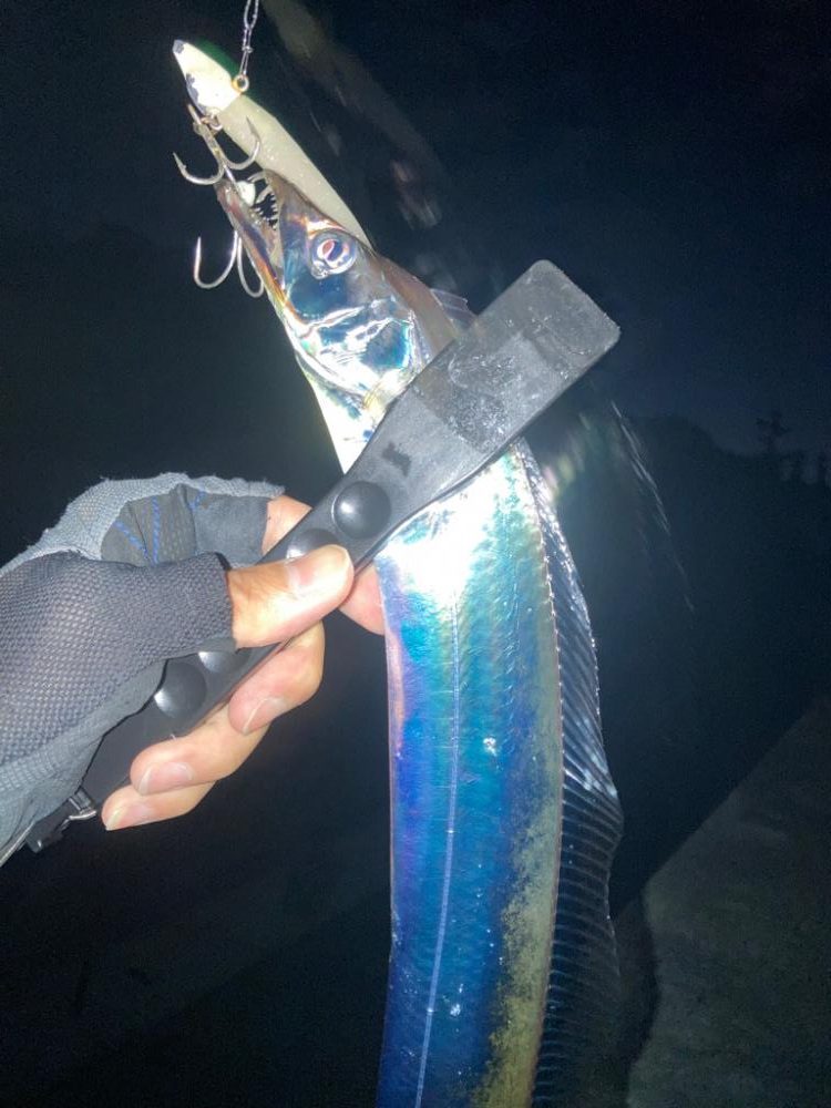 メジロ！2022ライトゲーム第35戦