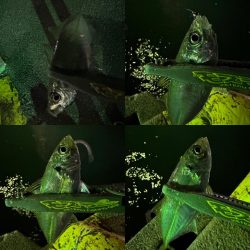 加重変化の違和感アタリ