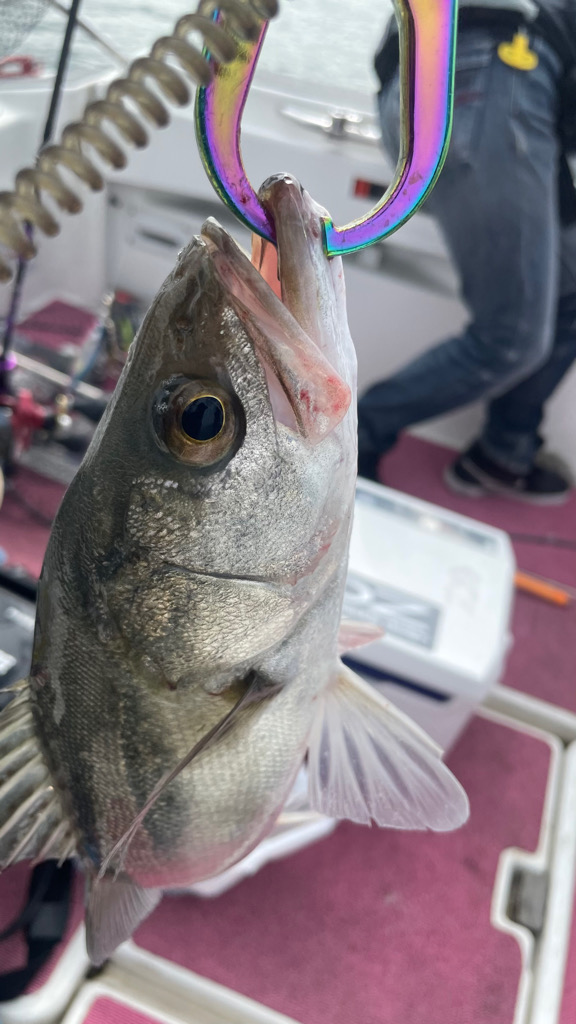 メタルジグにて