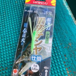 船タチウオテンヤ