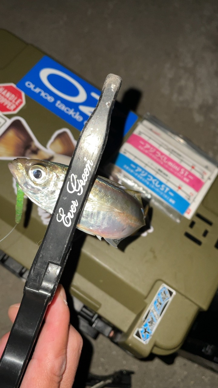 オンスタックルアジつくしSTモニター