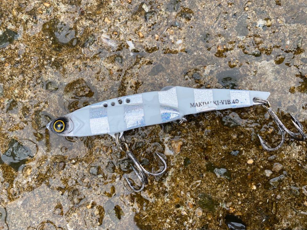雨でも青物祭り〜