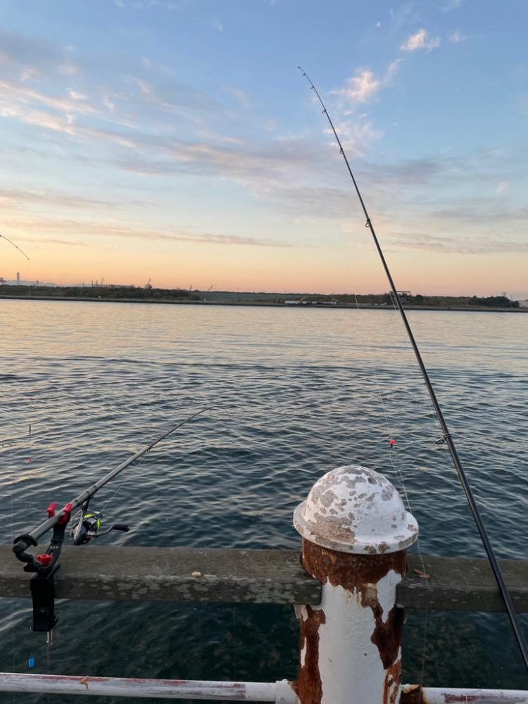 カワハギ釣れました^_^