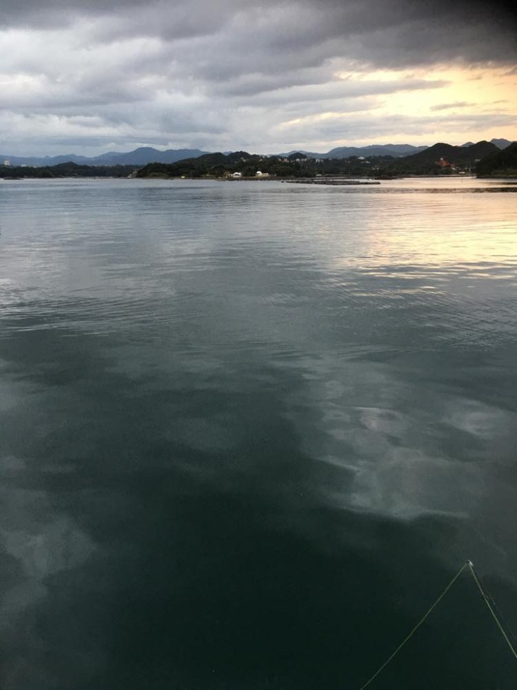 オオモンハタとガシラ