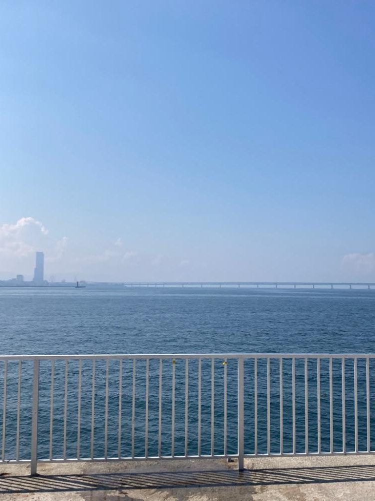 青物狙うも・・・