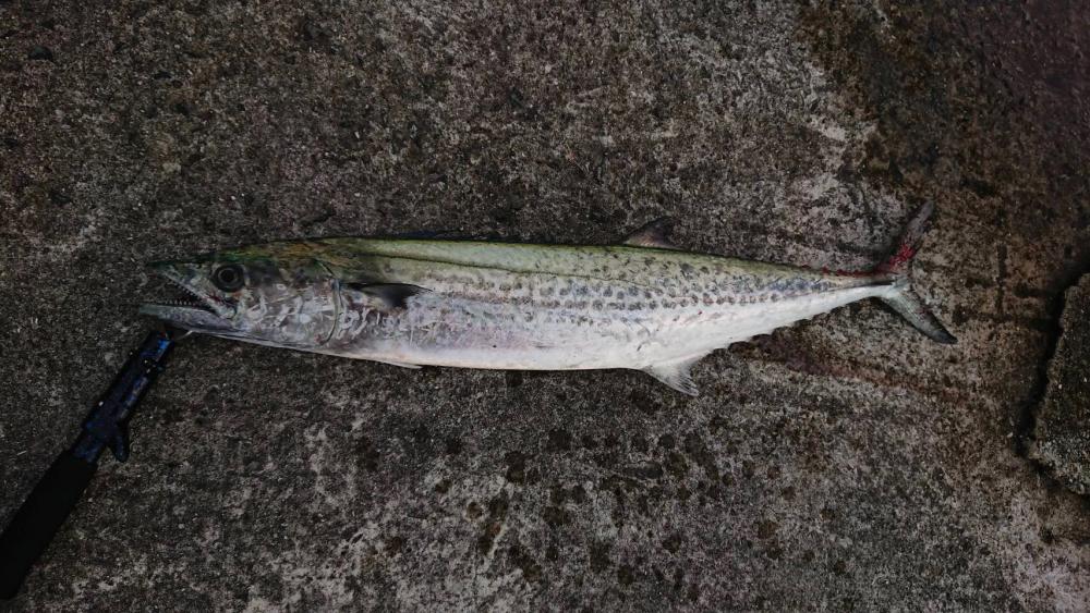 第7回雰囲気あります