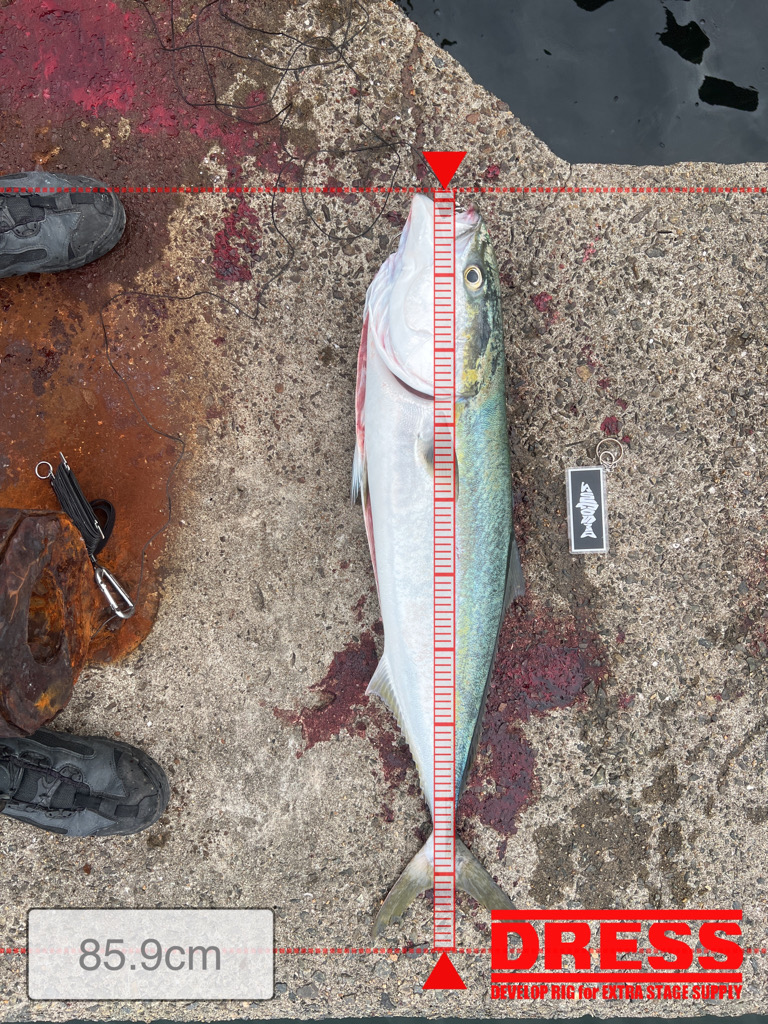 久しブリ、久々投稿