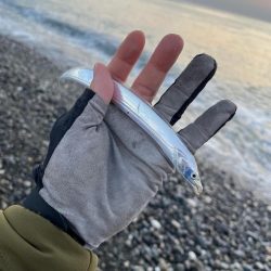 ジグとアクションを変えて本命ゲット