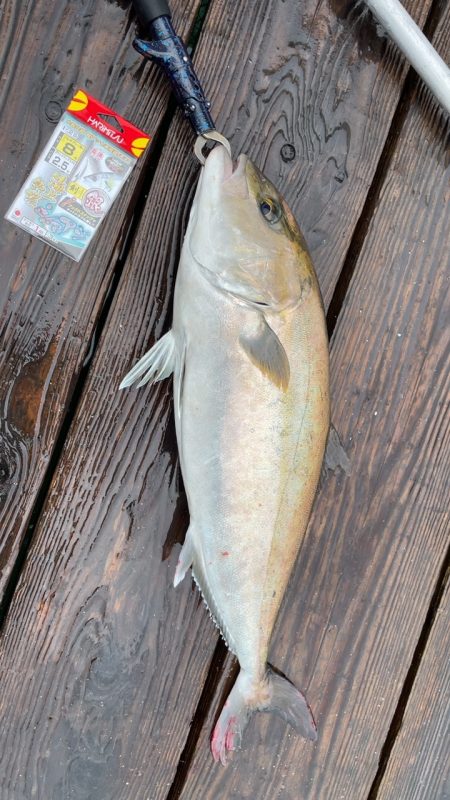 雨の釣り堀海恵