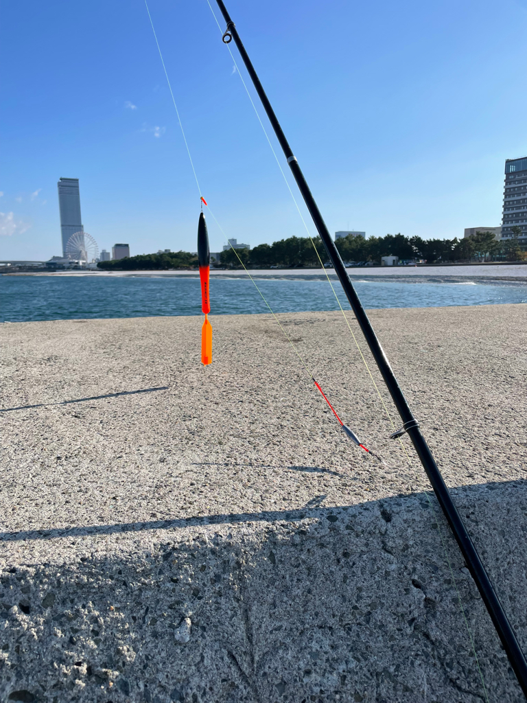 飲ませでハマチ