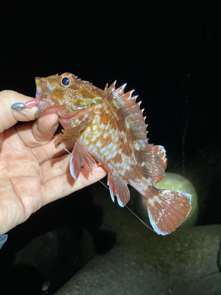 ライトゲーム明石周辺