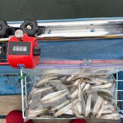 赤城大沼ワカサギ釣り