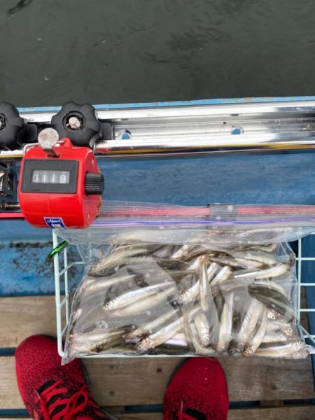 赤城大沼ワカサギ釣り