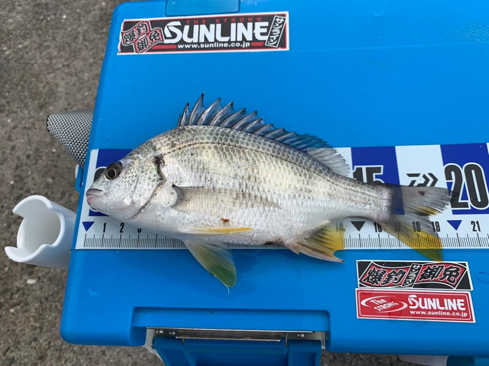 最後に疲れました