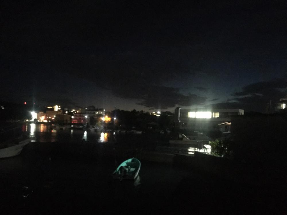 いろんな魚が釣れました！